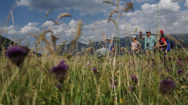 On A Childrens And Family Excursion Through The National Park In Zernez The Visitors Get To Know The Strong Six Legged On A Childrens And Family Excursion Through The National Park In Zernez The Visitors Get To Know The Strong Six Legged